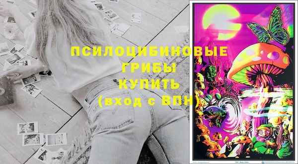 скорость mdpv Белокуриха