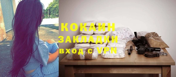 PSILOCYBIN Бородино