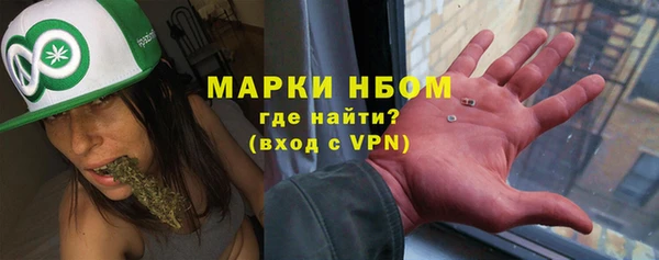 прущий лед Богданович