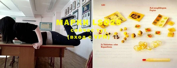 PSILOCYBIN Бородино