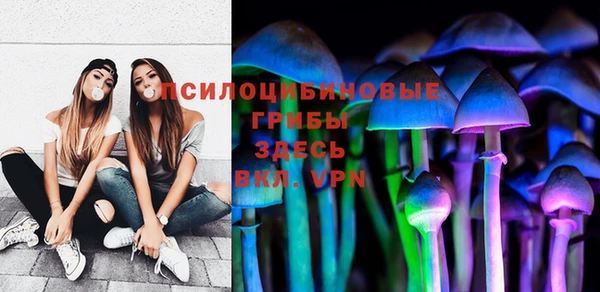 PSILOCYBIN Бородино