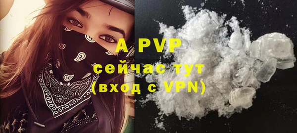 PSILOCYBIN Бородино