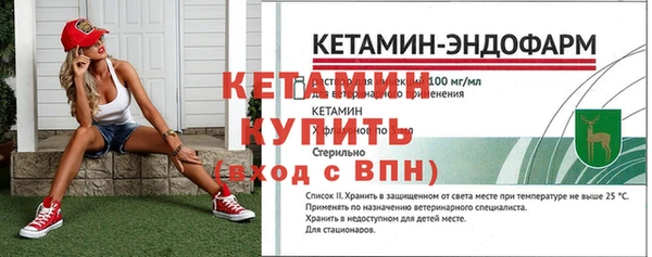 PSILOCYBIN Бородино